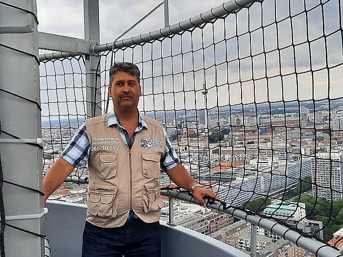 Falke Schwarzauge über den Dächern von Berlin